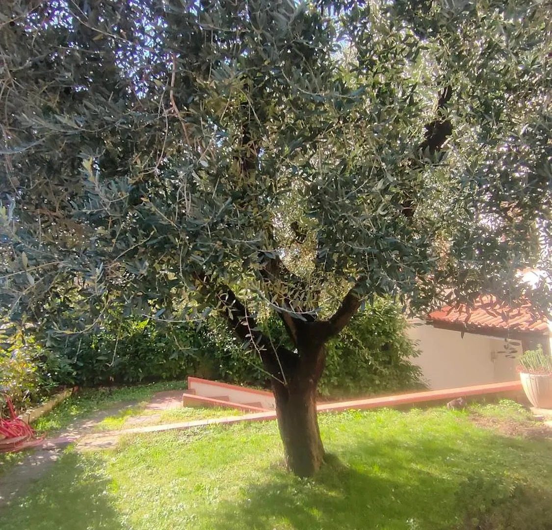 몬테무를로 Casa Mario Casa D'Ospite 아파트